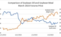 Soybean Prices Surge: The Data Behind the Price Spike